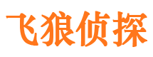 天柱市婚外情调查